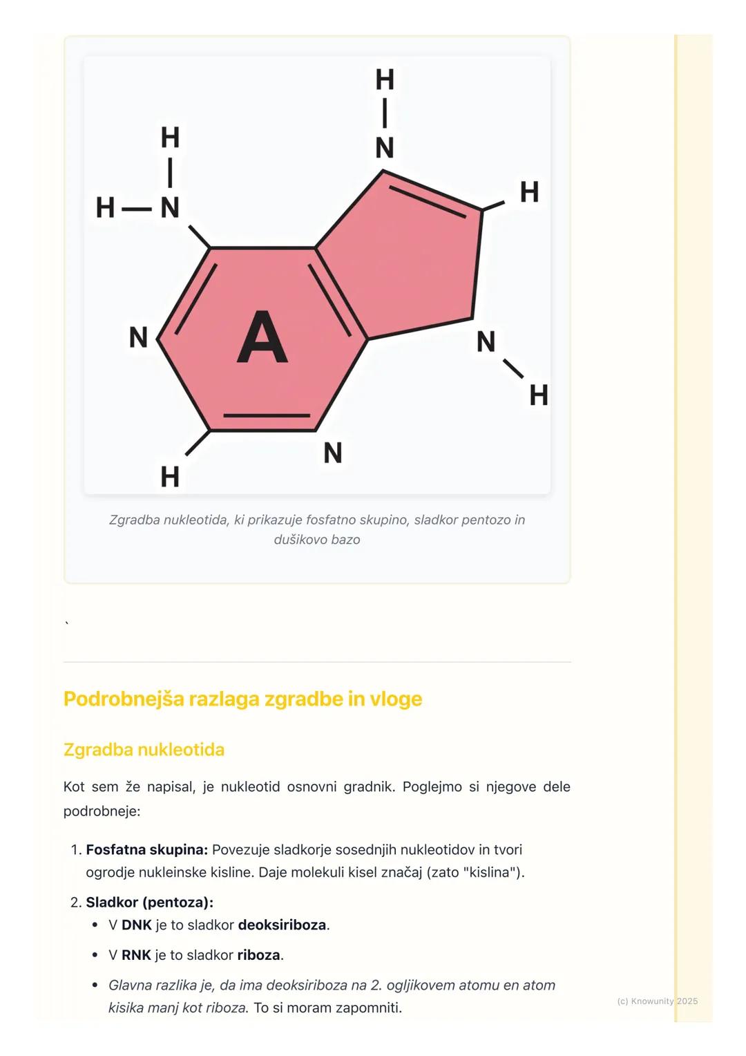 # Organske molekule:
nukleinske kisline

Uvod v nukleinske kisline

Nukleinske kisline so velike, kompleksne organske molekule (makromolekul