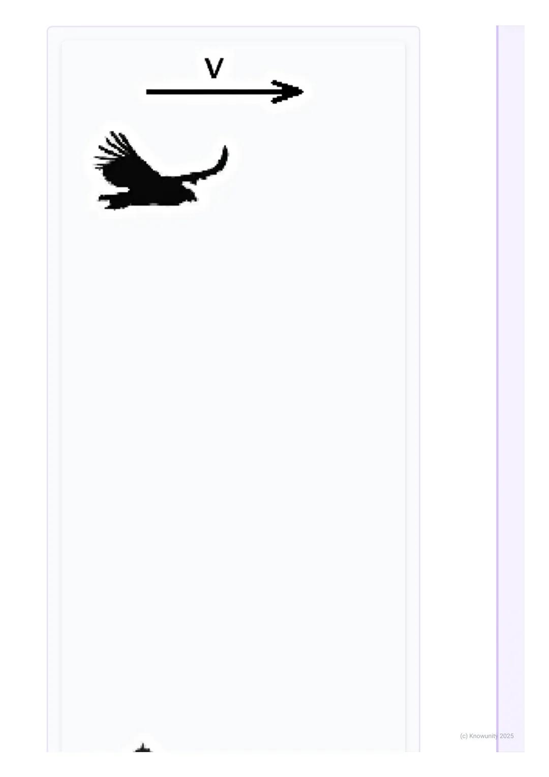 # Znaky živých organizmov

1. Prehľad / úvod

Dnes sa učíme o tom, čo robí veci živými. Je to dôležité, aby sme vedeli rozlíšiť,
čo patrí do