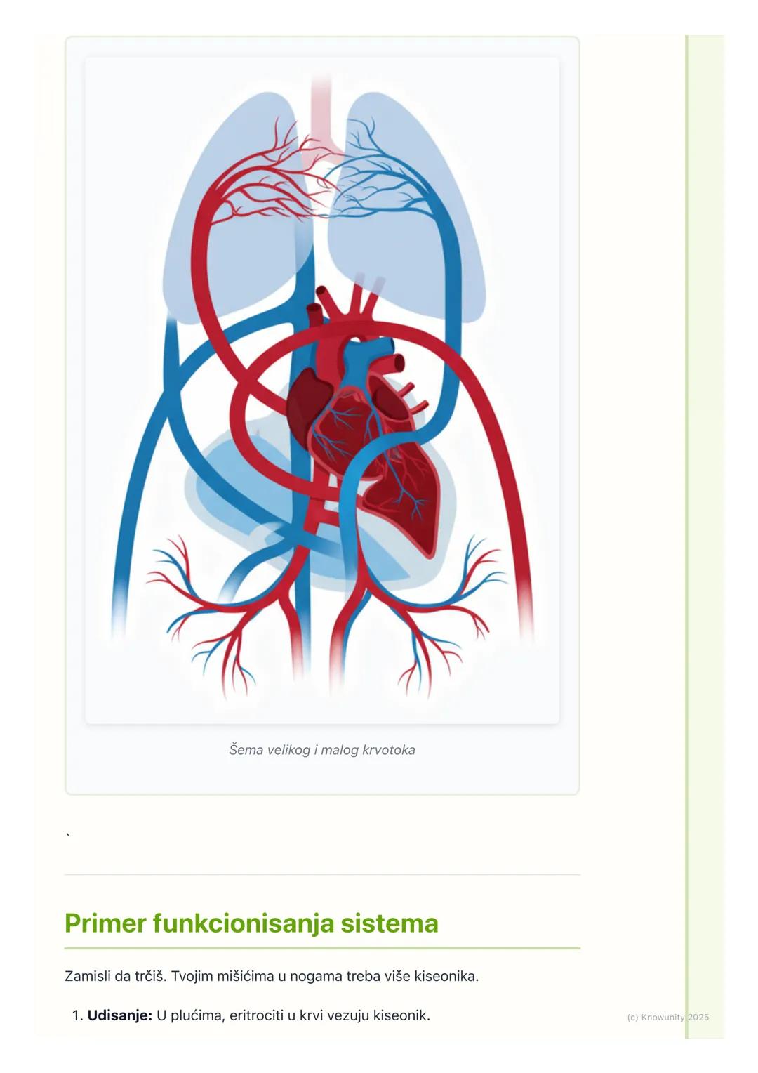 # Sistem za krvotok

Uvod u sistem za krvotok

Sistem za krvotok je transportni sistem našeg tela. Njegov glavni zadatak je da
prenosi važne