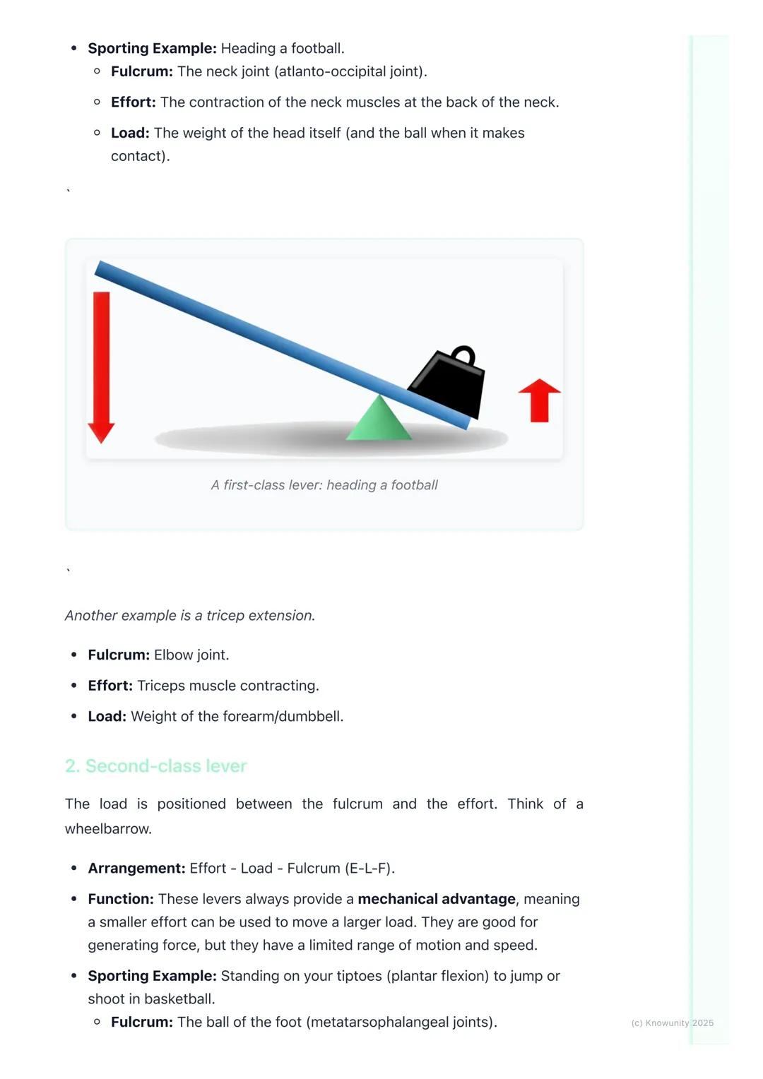 # Levers in the Human Body

What are levers in the body?

A lever is a rigid bar that moves on a fixed point called a fulcrum when a force
(