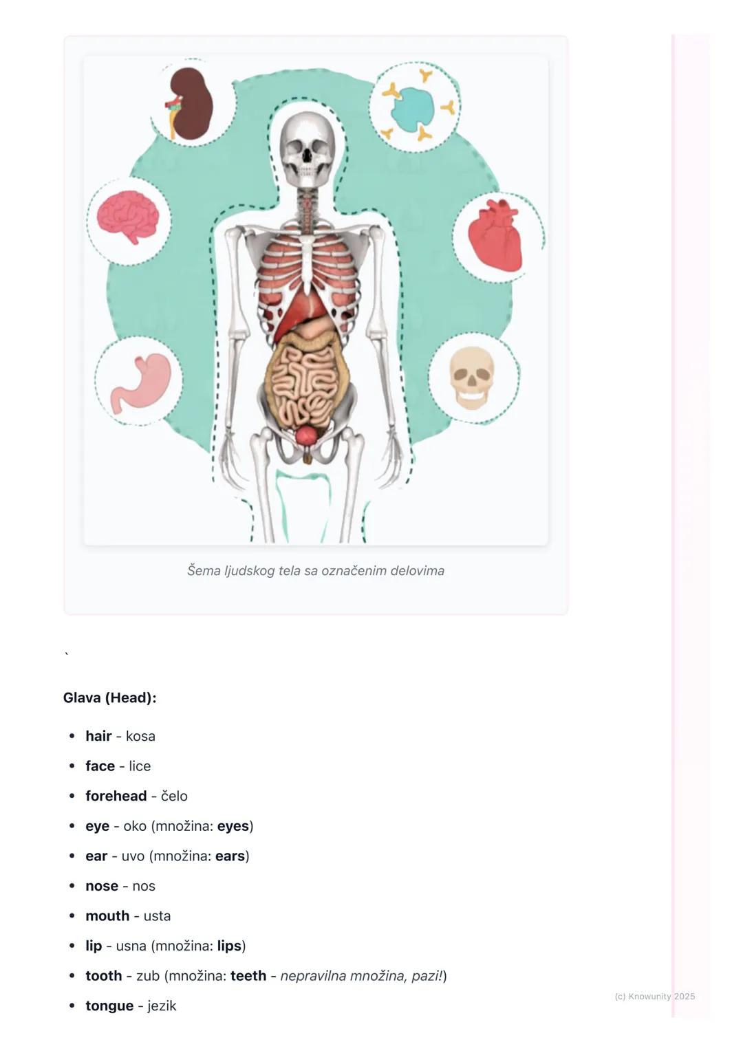 # Zdravlje i telo (Health and
Body)

Uvod u temu zdravlja i tela

Ova lekcija je važna da bismo naučili kako da na engleskom kažemo delove
t