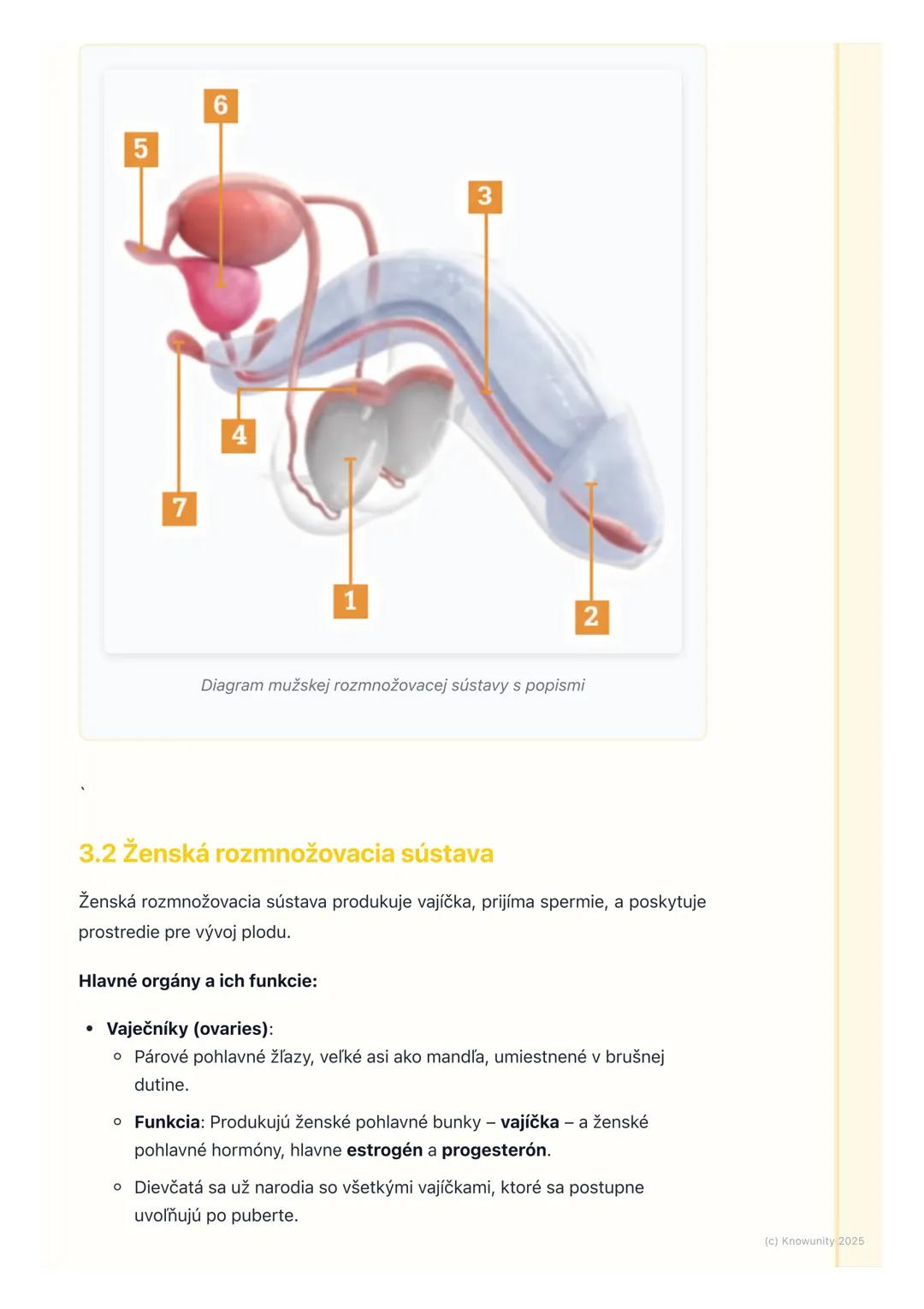 # Rozmnožovacia sústava

1. Prehľad rozmnožovacej sústavy

Rozmnožovacia sústava je veľmi dôležitá časť nášho tela, ktorá zabezpečuje,
aby s