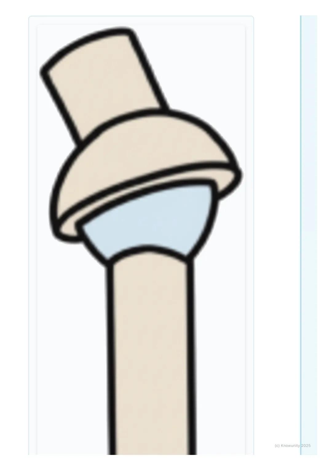 # Spojenia kostí – kĺby

## 1. Prehľad spojení kostí

Ahojte! Dnes si zopakujeme, ako sú naše kosti pospájané. Je to super dôležité,
lebo be