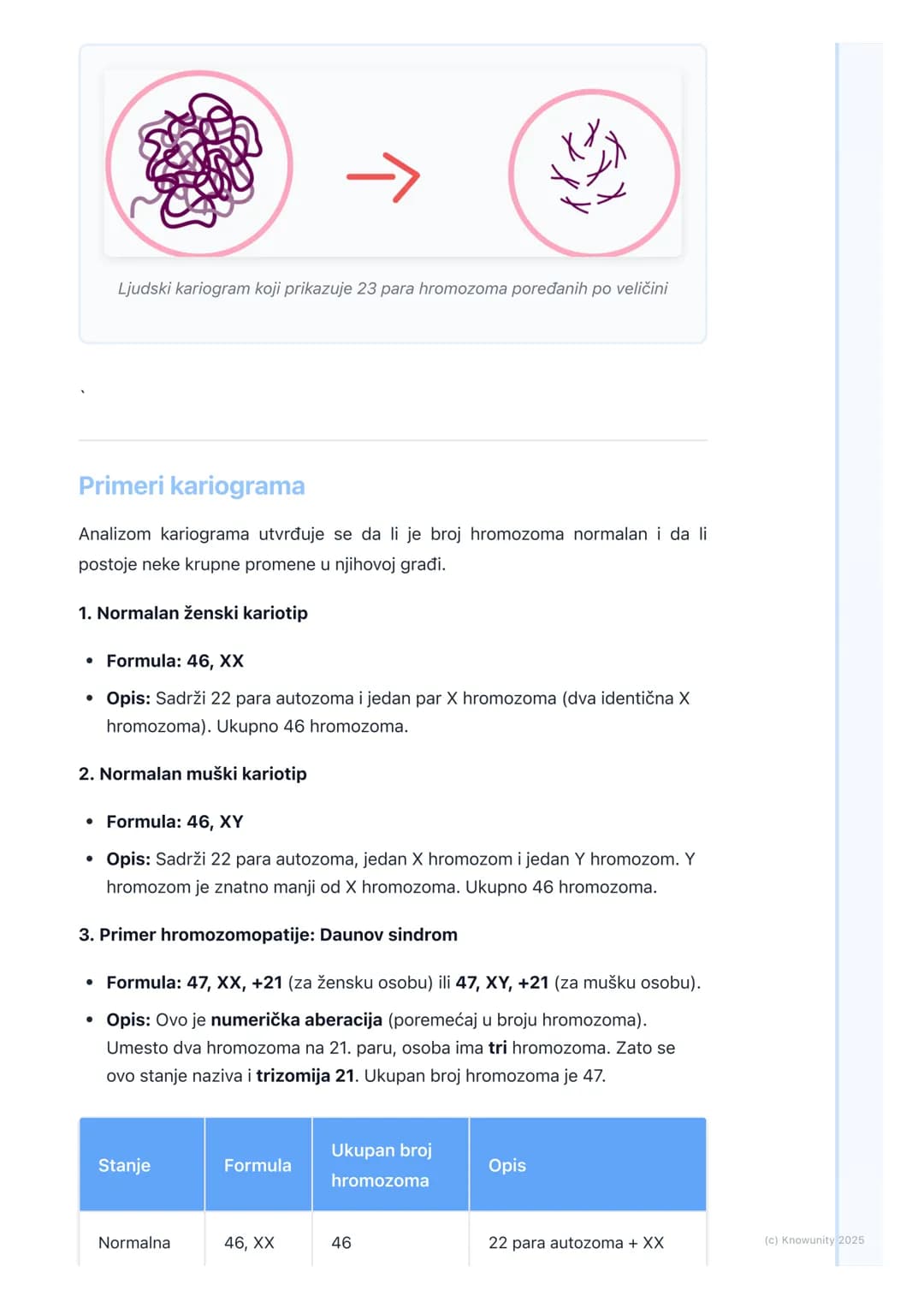 # Kariotip čoveka

Šta je kariotip čoveka?

Kariotip predstavlja celokupan skup hromozoma u jednoj telesnoj (somatskoj)
ćeliji organizma. To