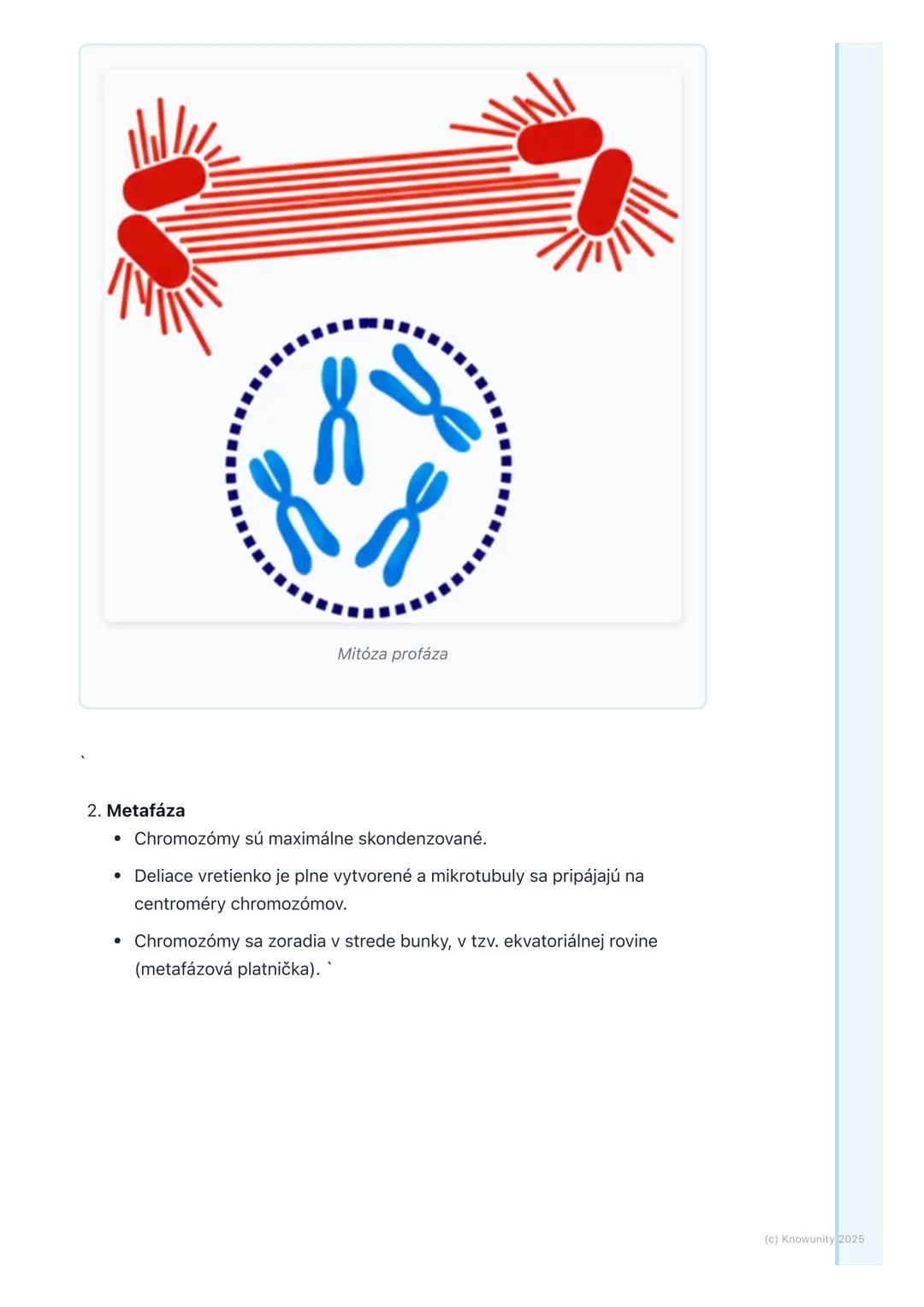 # Bunkový cyklus a delenie
buniek

Prehľad / Úvod

Dnes sa budeme učiť o bunkovom cykle a delení buniek. Je to super dôležitá
téma, lebo bez