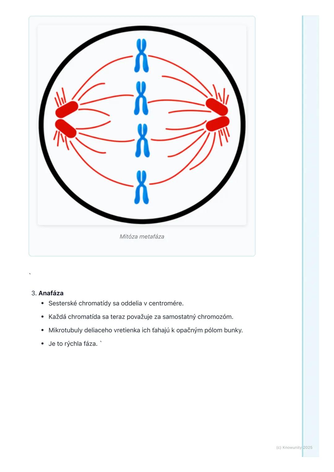 # Bunkový cyklus a delenie
buniek

Prehľad / Úvod

Dnes sa budeme učiť o bunkovom cykle a delení buniek. Je to super dôležitá
téma, lebo bez