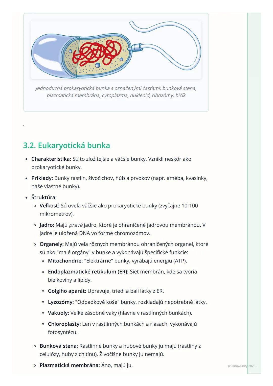 # Prokaryotická a eukaryotická
bunka

1. Prehľad témy: Prokaryotická a
eukaryotická bunka

Takže, bunka je základná stavebná a funkčná jedno