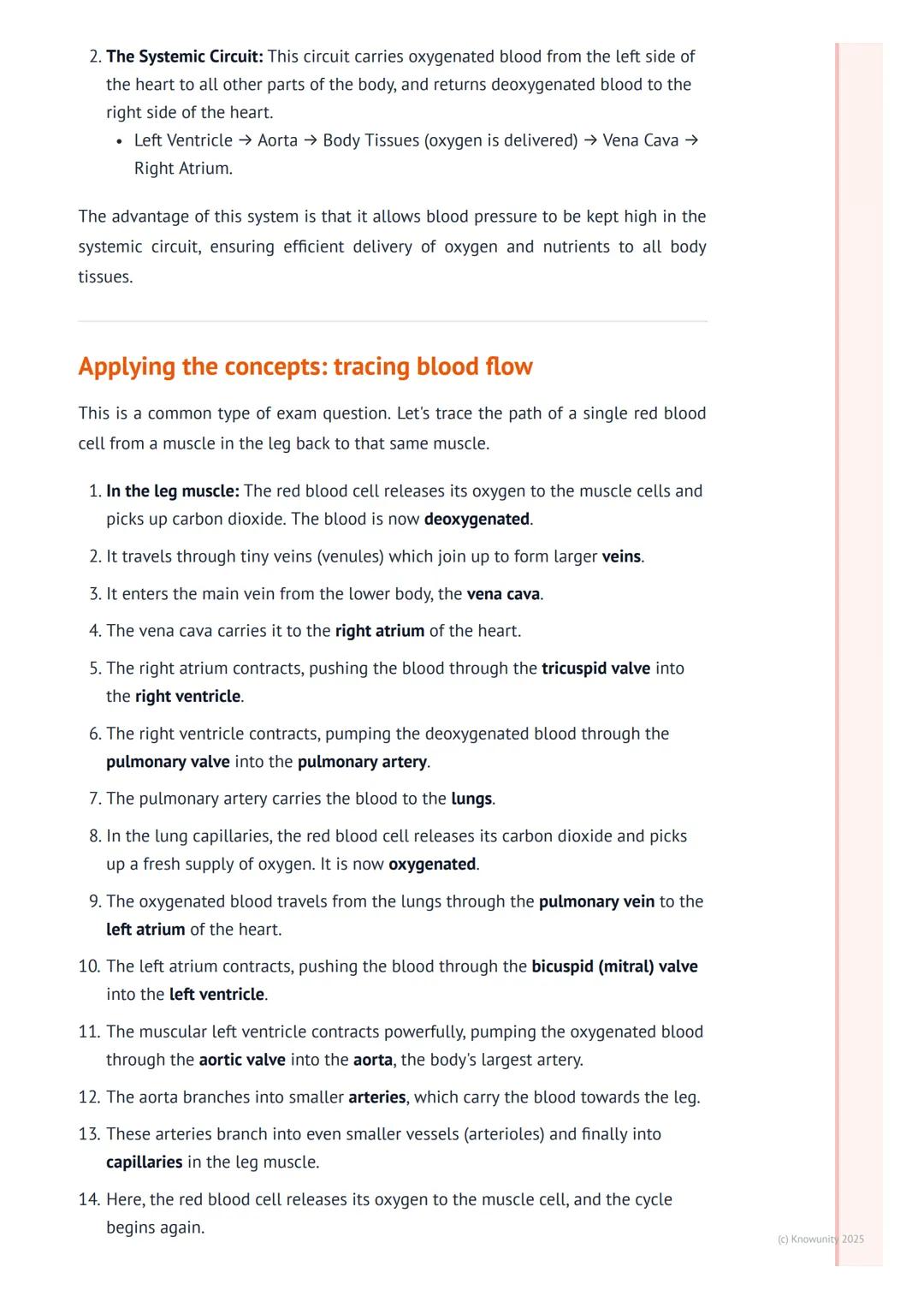 # The Circulatory System

An introduction to the circulatory system

The circulatory system is basically the body's transport network. Its m