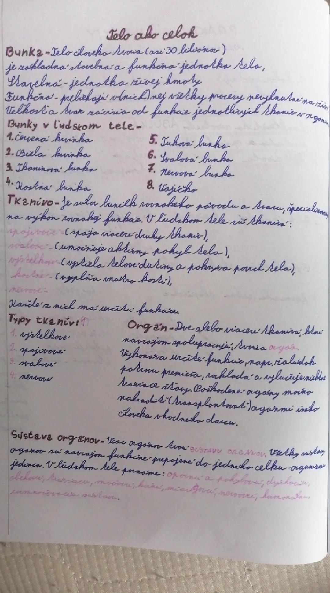 # Jelo ako celok

Bunka-Telo cloveko vocia Case 30 bilionor)
je rokladna storebna a funkčna jednotka kelo,
Stavebná jednotka sivej hmoly
Fun
