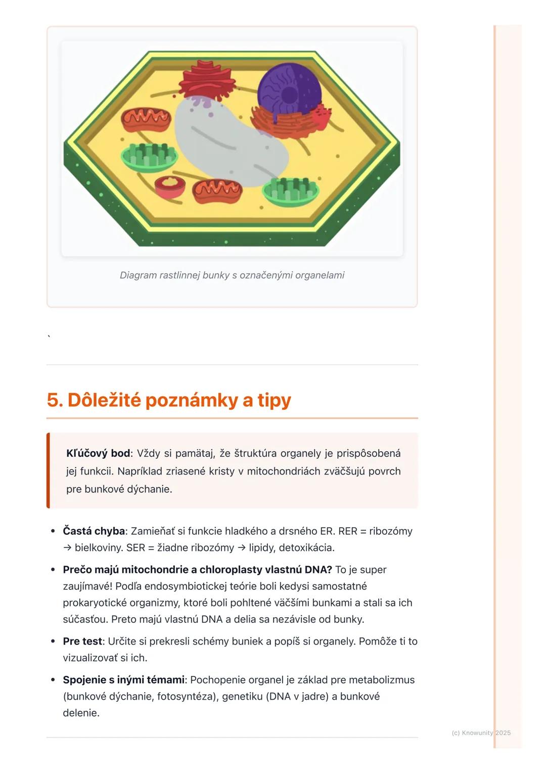 # Štruktúra a funkcia
prokaryotickej a eukaryotickej
bunky

1. Prehľad a úvod

Bunky sú základné stavebné a funkčné jednotky všetkých živých