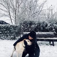 user profile picture