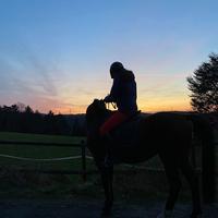 user profile picture