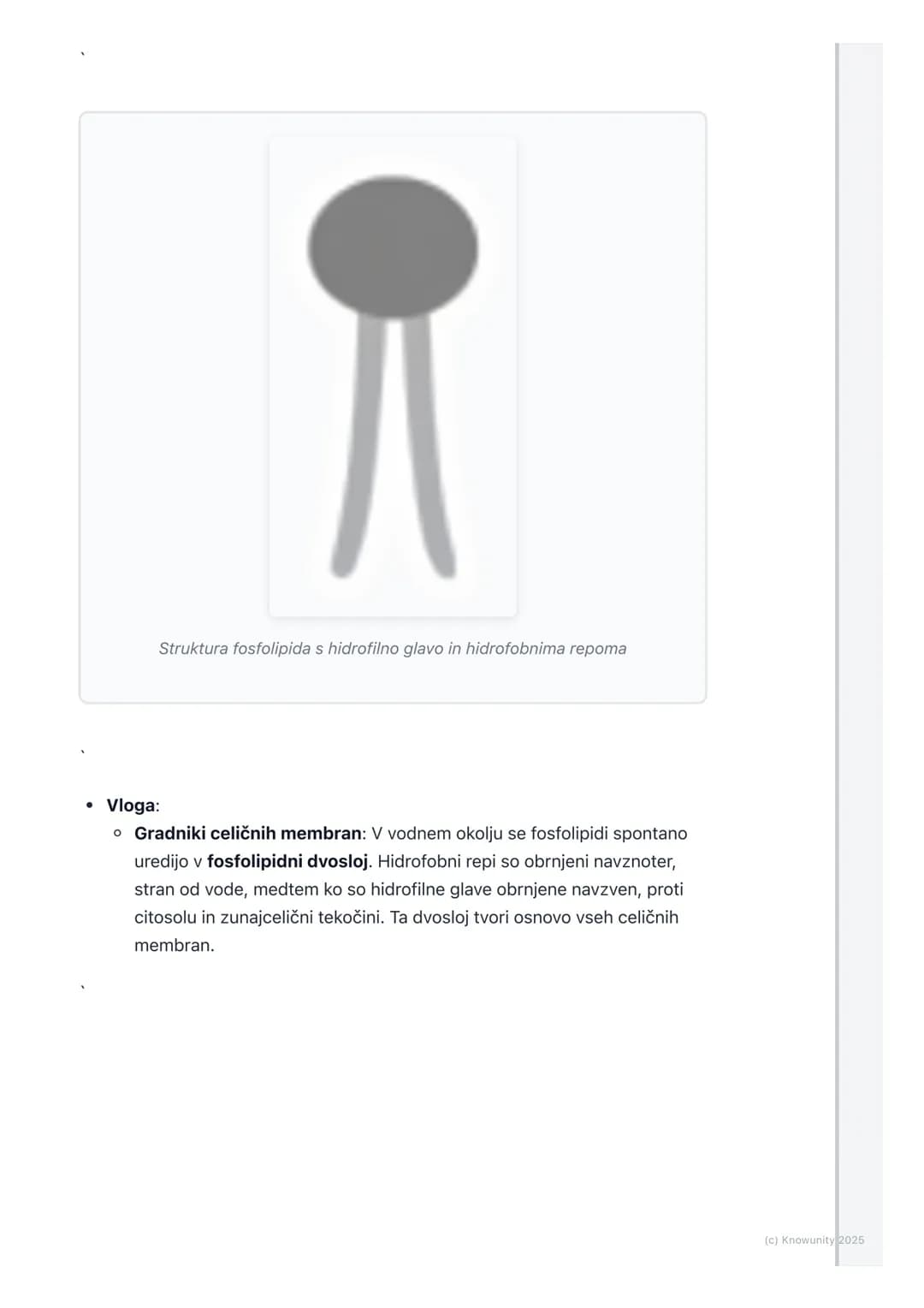 # Lipidi
Splošni pregled lipidov
Lipidi so velika in raznolika skupina organskih molekul, ki so značilne predvsem
po svoji hidrofobnosti s