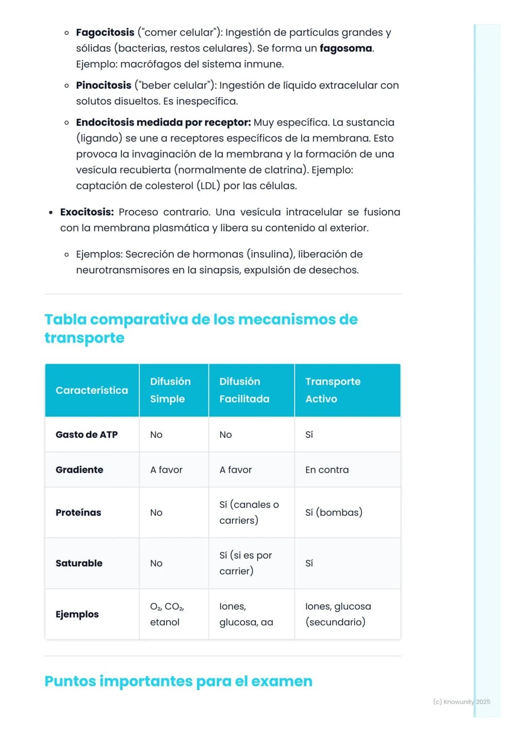 # Membrana Plasmática y
Transporte Celular
La membrana plasmática: la frontera celular
La membrana plasmática es la estructura que delimit