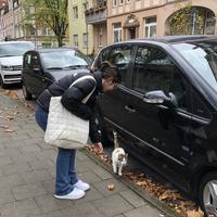 user profile picture