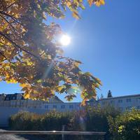 user profile picture