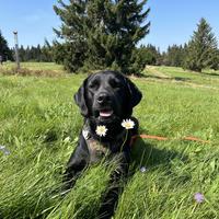 user profile picture